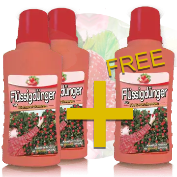 2 + 1 vloeibare meststof voor klimaardbeien
